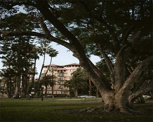 荆门供卵不用排队的医院名单：拦截急切生子家庭的省时策略